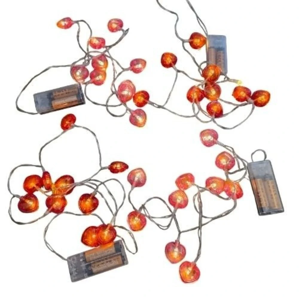Heart Shaped LED String Lights Battery Operated Pink Red 4 Pack 40
